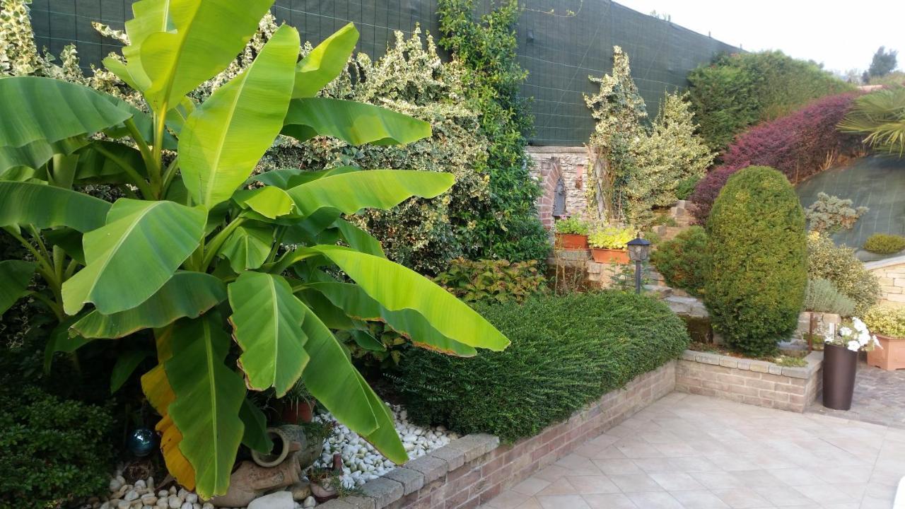 Villa Laura B&B Fossano Kültér fotó